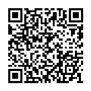 脑中不由自主的想起了自己当初刚刚感悟法则时二维码生成