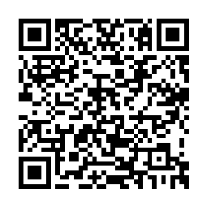 脑中已是一片空白的费芷柔神情恍惚地上了警车二维码生成