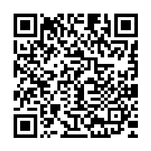 脑中怎么也想不出他们紫雷派何时招惹上了这么一个恐怖的敌人二维码生成