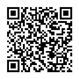 脑子里乱糟糟的想的竟然全都是夏云杰是不是同志的问题二维码生成