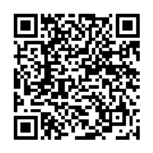 脑子里刹那间就将白沉能够使用的手段都想了一遍二维码生成