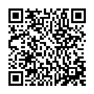 脑海中却是想起春游之时见过的苏檀儿与宁毅坐在一块时的景象二维码生成