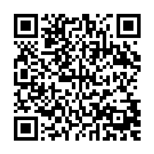 脑海当中已经开始考虑着如何将那一株千年何首乌最大化的利用二维码生成