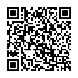 脑袋一热便什么后果都不顾本就是阮荷黎的特性二维码生成