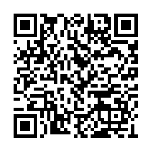 脖子上面还有着一串散发着璀璨光芒的碎钻项链二维码生成