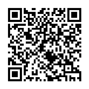 脚下完全由黄沙凝聚而成的巨大地龙发出一声巨大的吼叫声二维码生成