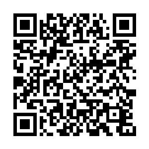 脚下的动作不断的加快朝着这些家伙攻击了过去二维码生成