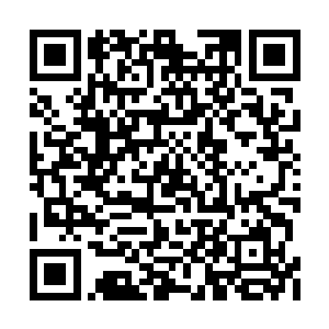 脸上的笑却在他的视线下渐渐的变得僵硬了几分二维码生成