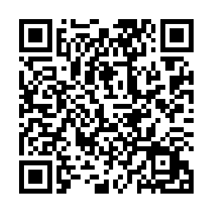 脸和身体多处都被咬烂的丧尸摇摇晃晃的向着赵虎走来二维码生成