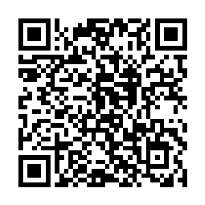脸色的表情稍微的扭曲了一下便对着叶璃讨好的一笑二维码生成