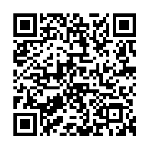 脸色苍白如纸的青鹏王正静静的悬浮在虚空之中二维码生成