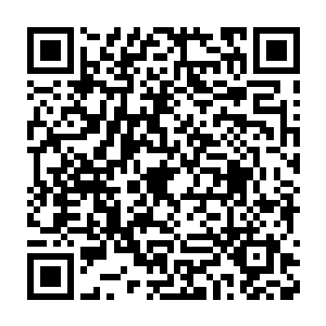 腐烂高原上那位臭名昭著的邪灵领主狄高庚手下就有一支食脑魔军团二维码生成