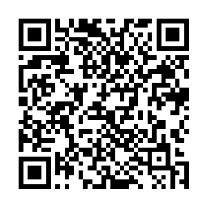 腹部的伤口虽然经过了一夜的休息却依然一抽一抽的疼痛着二维码生成