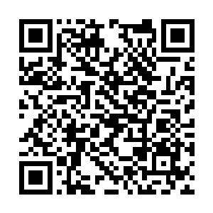 腾出来的空间则让新的充满了蓬勃生机的东西填满二维码生成