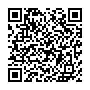 自从上次在白残谱哪儿看到他从草蛊婆身上找到的金蚕蛊后二维码生成