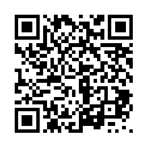 自从严默说嘟嘟已经不需要精血和能量浇灌二维码生成