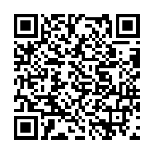 自从冰心谷谷主冰珑和大长老冉云婷联袂造访之后二维码生成