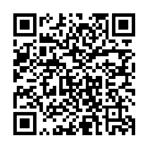 自从我和雅文互换身体之后雅文就严格限制我接近小秋二维码生成