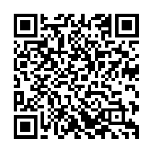 自从我离开当铺重返人鬼市场后就居住在人鬼市场会所的九伯二维码生成