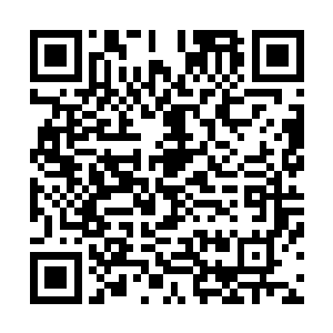 自从生日宴翻脸之后梁敏也不觉得需要和夏天萌虚以为蛇了二维码生成