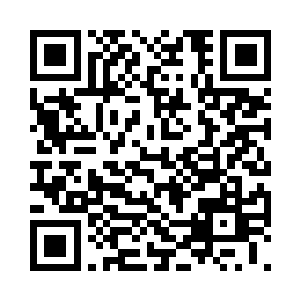 自从被茹小囡从消失的古代世界召到这里二维码生成