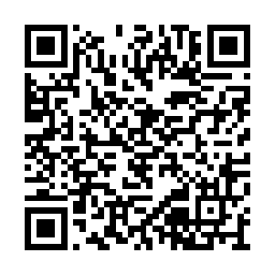 自从这个游乐园开始的时候一直到现在都没变过二维码生成