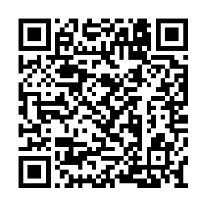 自从进了断魂山化腾老祖的山洞和九龙琉璃塔内二维码生成