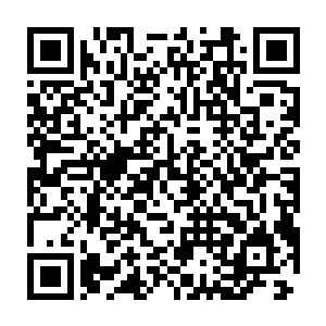 自从那次和夏天萌说过要给她独一无二的感受后他与桑怜联系都少了二维码生成