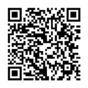 自从黎王和叶莹离开之后他就隐隐的有一种不安的感觉二维码生成