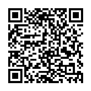 自从黑星大帝武英奇激活了星海边陲尘封几十万年的二维码生成