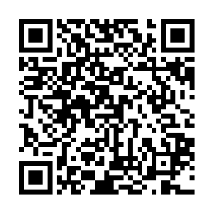 自家娘亲这些日子又总是在她耳边说不许她去招惹沈婉瑜二维码生成