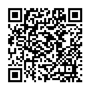 自家指挥使大人怎么会问曾毅这个五品官这样的问题二维码生成