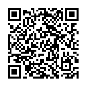 自己一世英名竟然会被自己一脉的弟子给阴了一把吧二维码生成