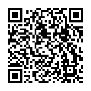 自己三个圣级九层后期巅峰大修士竟然不能够接下许紫烟一击二维码生成