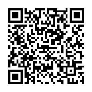 自己也知道自己的小命现在只不过就是在一念之间二维码生成