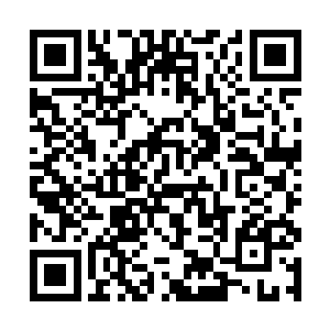 自己伸出去的手就已经被自己的老爹的手靶给挡住了二维码生成