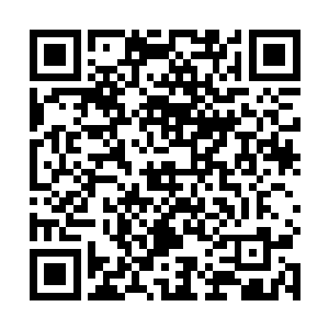 自己全力张开的圣元之壁上……竟已出现了细微的裂痕二维码生成