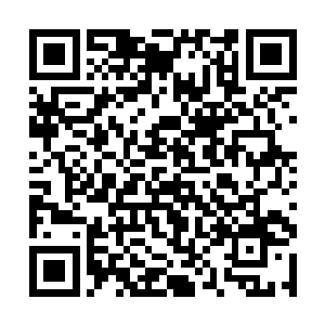 自己动手将肉架在火堆上学着唐玥有模有样地翻烤着二维码生成