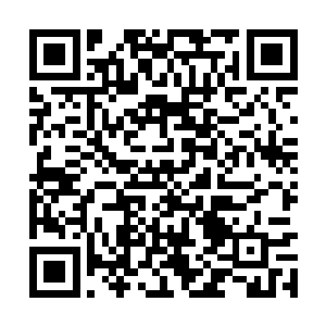 自己却是激活了天子印玺上的浩荡气运来抵抗圣虫二维码生成