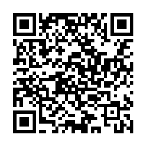 自己原本后天八重中期的修为竟然百尺竿头更进一步二维码生成