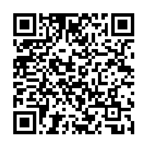 自己又怎么会被发现大败家系统的秘密引来智慧女神二维码生成