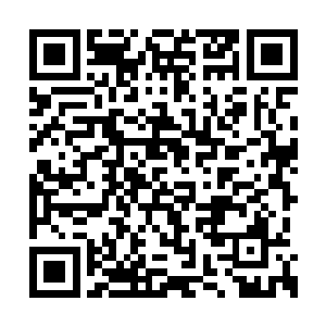 自己只是用微弱的精神力将它们调出来轰击出去二维码生成