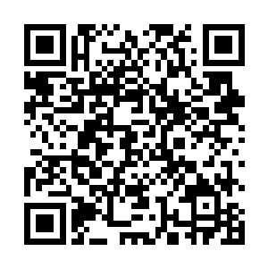 自己和神乐就是趁着这个机会溜进去拿到仙药就可以了二维码生成