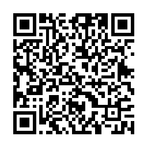 自己就可以再高武世界甚至是仙侠世界中快速赶路二维码生成