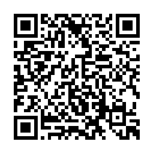 自己就孤身一人前往四周寻找金丝银线蛇的巢穴二维码生成