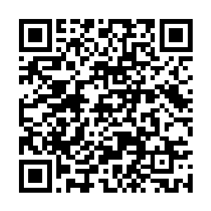 自己已经像是个滚地葫芦一样在地上滚了好几圈了二维码生成