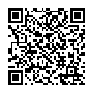 自己弟弟却是已经用出了玄级中阶的武技大力通山拳二维码生成