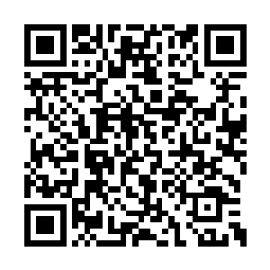 自己弟弟谭青林的的声音就在身后十几丈处响起二维码生成