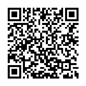 自己得到龙气越壮大……能有光武帝刘秀的龙气二维码生成