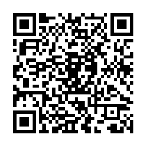 自己总算是能够将叶然给杀了完成大长老交代来的任务reads二维码生成
